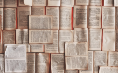 Nekoliko reči o Zakonu o agencijskom zapošljavanju uoči početka primene